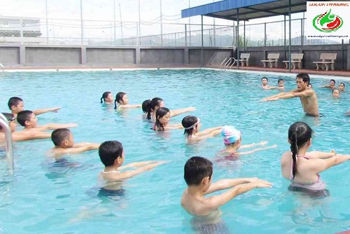 Tuyệt đối bạn không nên nhấc đầu khi bơi ếch để tránh nguy hiểm